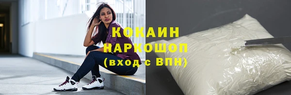 дурь Новодвинск