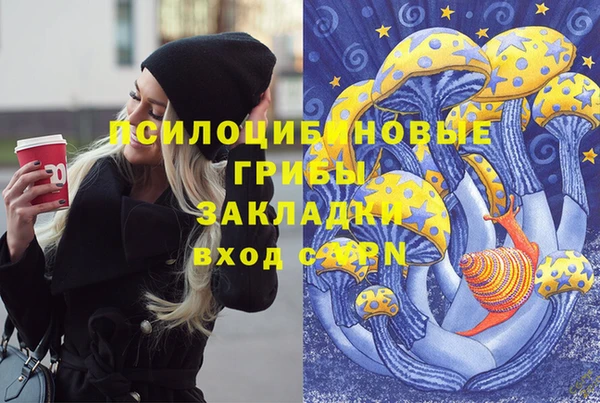 синтетический гашиш Няндома